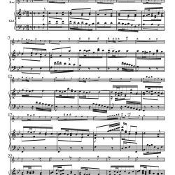 Duet, “Wie will ich mich freuen,”� from Cantata 146